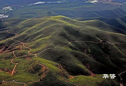 快訊！湖南永州藍(lán)山公路項(xiàng)目水土保持方案（水保）順利通過專家評(píng)議
