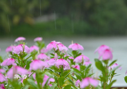 環(huán)評(píng)_華咨環(huán)保機(jī)構(gòu)_第三方專業(yè)航評(píng)公司_湖南長(zhǎng)沙華咨環(huán)保公司專業(yè)的技術(shù)單位 環(huán)評(píng)_華咨環(huán)保機(jī)構(gòu)_第三方專業(yè)航評(píng)公司_湖南長(zhǎng)沙華咨環(huán)保公司專業(yè)的技術(shù)單位