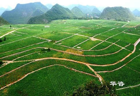 華咨按下重啟鍵！交評(píng)、航評(píng)、水保、環(huán)評(píng)各團(tuán)隊(duì)相繼爭先！