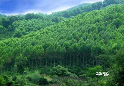 株洲本地水保單位_湖南省專業(yè)水土保持方案報告編制公司_華咨水??萍? alt=