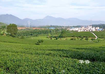華咨生態(tài)鏈企業(yè)又增一員大將,實現(xiàn)生態(tài)環(huán)境技術(shù)服務(wù)全覆蓋 華咨生態(tài)鏈企業(yè)又增一員大將,實現(xiàn)生態(tài)環(huán)境技術(shù)服務(wù)全覆蓋