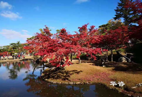 華咨公司交通工程師團隊赴江西南昌就藥材小鎮(zhèn)建設項目開展交通量現(xiàn)狀調(diào)研