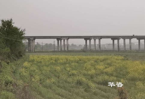 好消息！華咨公司測量團隊再次交付岳陽、常德項目水下地形圖測量成果