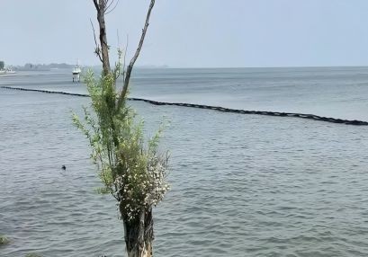 邵陽(yáng)城市橋梁跨越航道通航安全保障方案編制順利通過(guò)專家審查