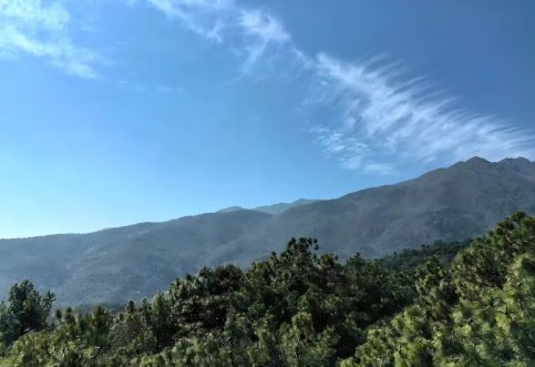 編制湖南省內(nèi)地質(zhì)災害安全性評價報告時可以引用哪些法律法規(guī)？